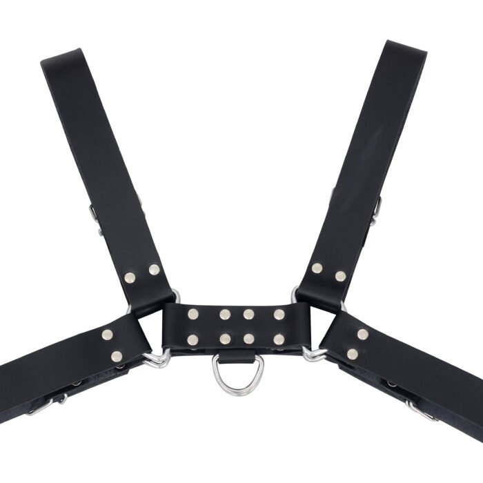 Leather Mens Harness