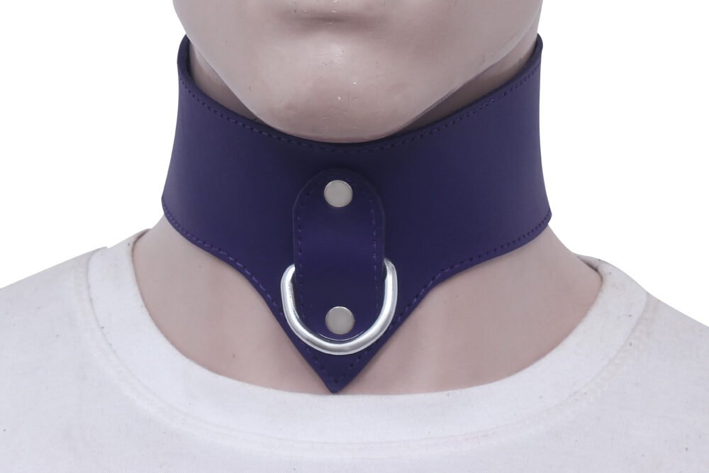 Leather Posture Collar for Bondage