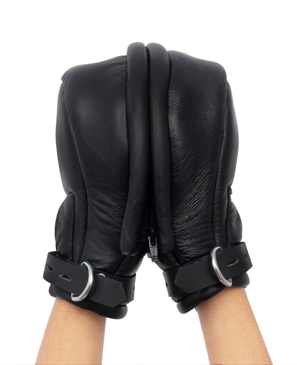 Locking Mittens with Zipped Palm