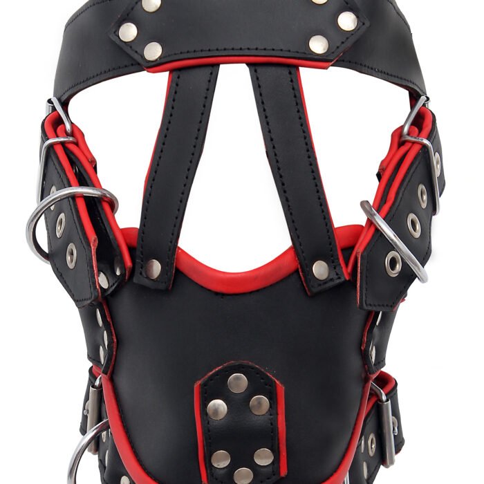 Premium Bondage Harness Muzzle Gag