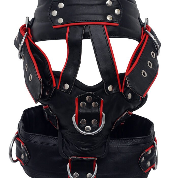 Adjustable Leather BDSM Muzzle with Multiple D-Rings