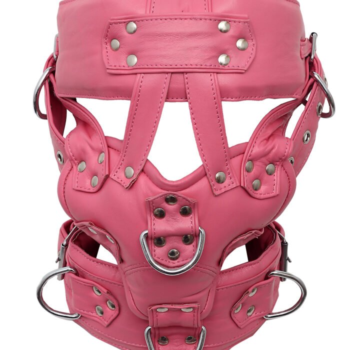 Genuine Leather Muzzle Gag BDSM