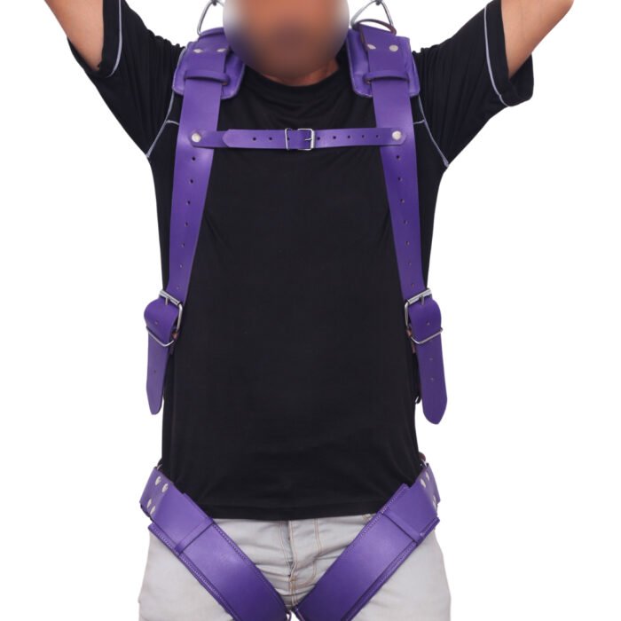 Suspension Leather Sex Swing
